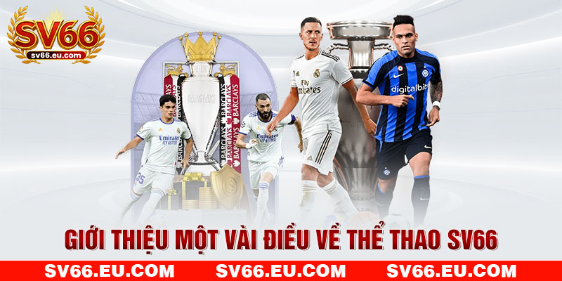 Giới thiệu một vài điều về thể thao SV66